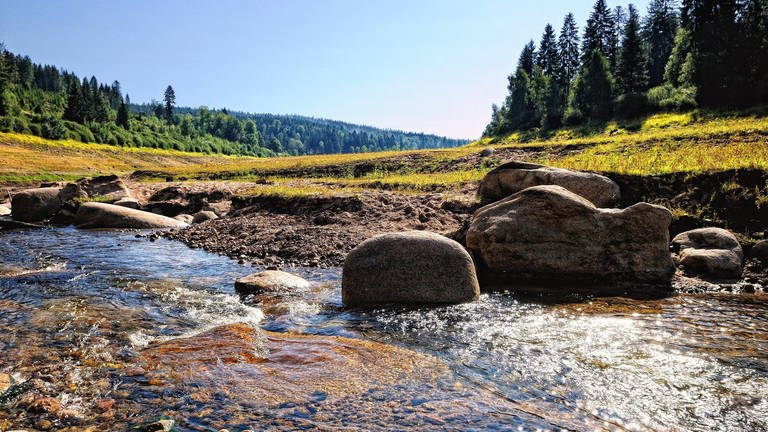 Flüsse wie der Schwarzenbach im Nordschwarzwald leiden unter Trockenstress