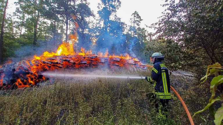 Brennende Holzstapel im Hardtwald bei Stutensee (Foto: Einsatzreport24)