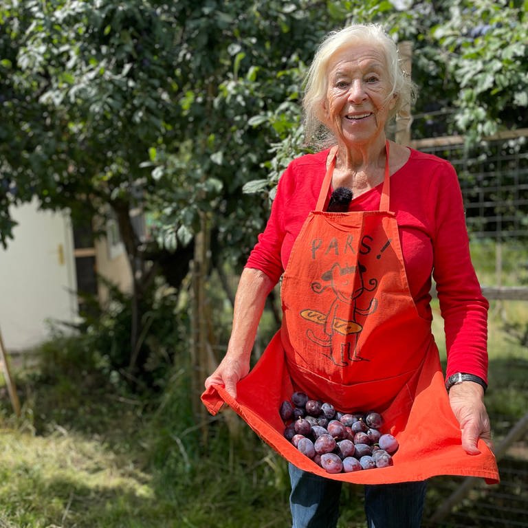 Lucia Förderer aus Ebersteinburg freut sich über geernteten Zwetschen, die sie in ihrer Schürze zeigt