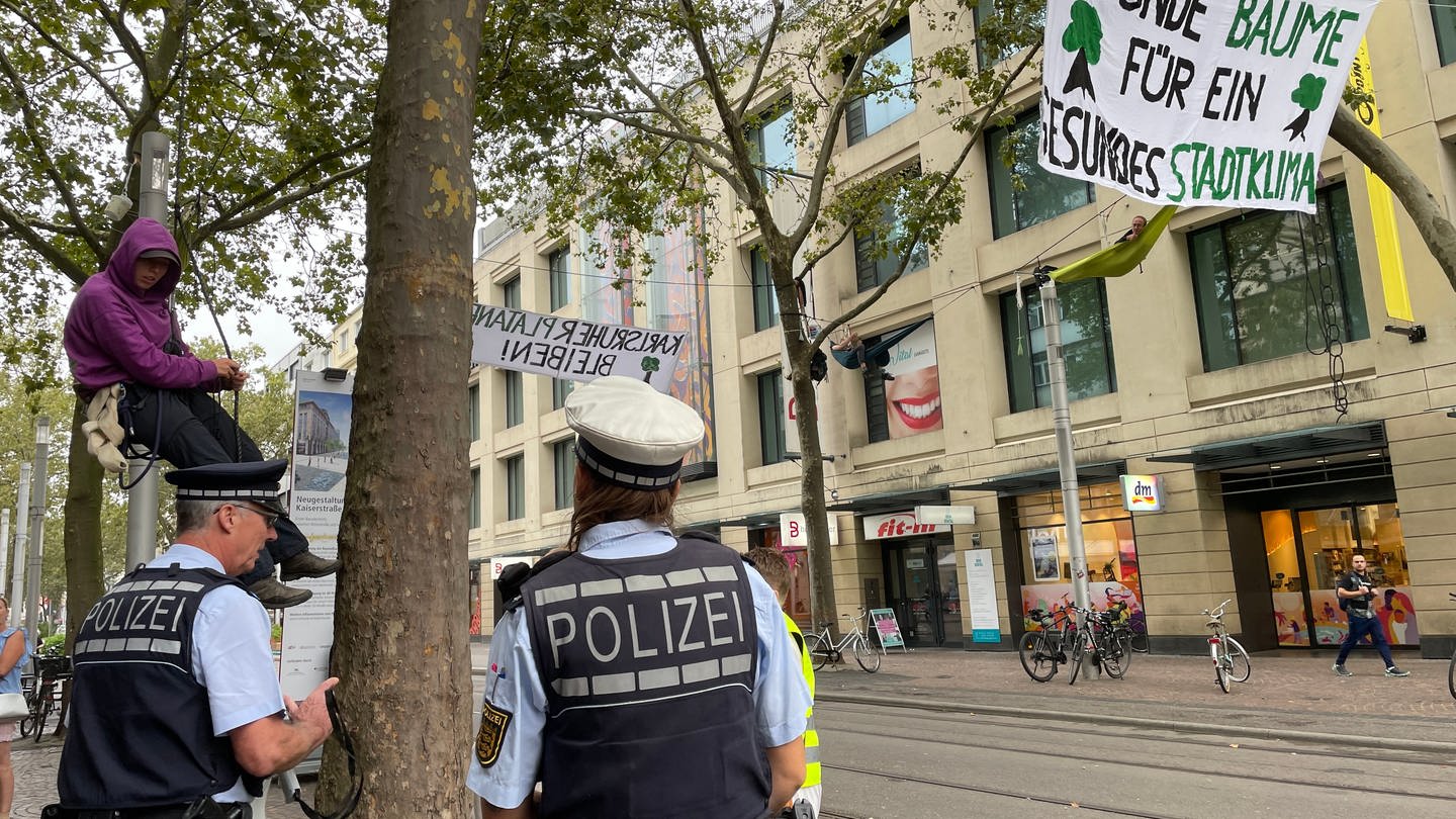 In der Innenstadt von Karlsruhe haben Klimaaktivisten die Platanen besetzt. (Foto: SWR, Felix Wnuck)