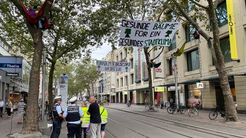 Aktivisten haben mit Hängematen die Platanen in der Innenstadt von Karlsruhe besetzt. Sie haben dort oben die Nacht verbracht.  (Foto: SWR, Felix Wnuck)