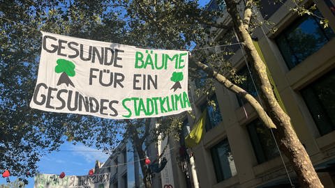 Aktivisten besetzen weiterhin die Platanen in der Karlsruher Kaiserstraße (Foto: SWR)