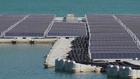 Die dunkelblauen Paneele der Anlage mit Photovoltaik schwimmen im See in Renchen.  (Foto: SWR, SWR/Wolfgang Hörter)