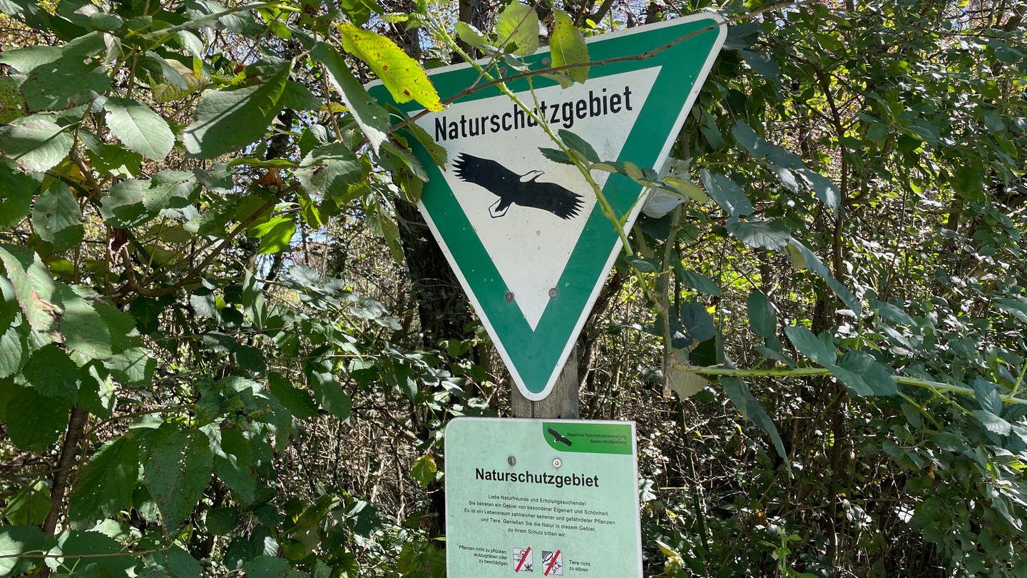 Ein Schild, das auf das Naturschutzgebiet in Rastatt hinweist (Foto: SWR, Patrick Neumann)