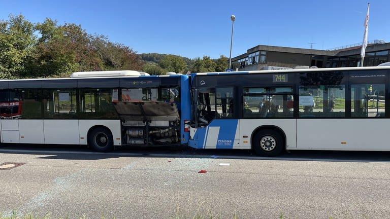 Bei einem Unfall mit zwei Schulbussen sind mehrere Kinder am Mittwochmittag in Calw leicht verletzt worden (Foto: SDMG / Schulz)