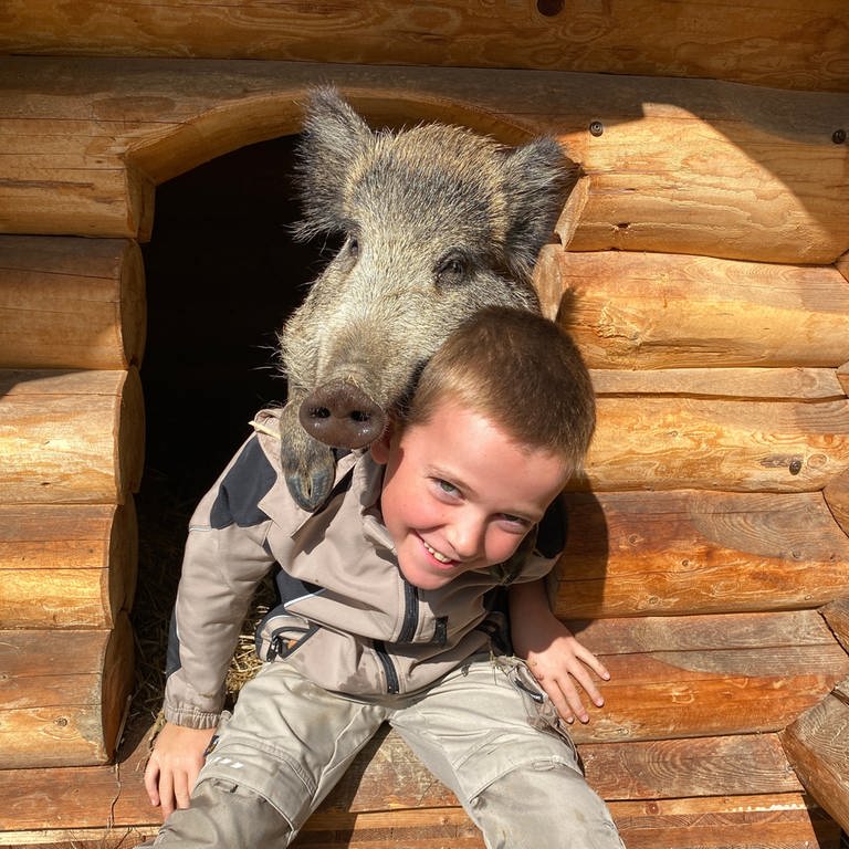 Das Wildschwein Friedrich mit dem Spitznamen Schnitzel ist mit dem achtjährigen Mathis befreundet.