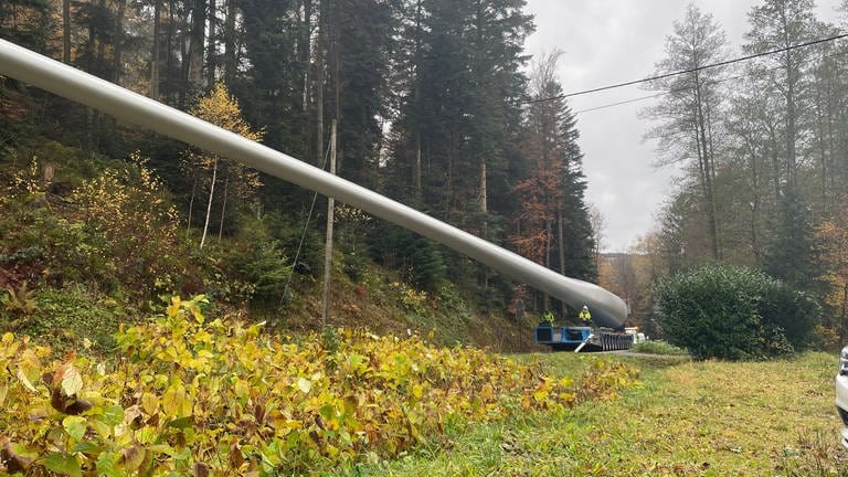 Rotorblätter für den Windpark Langenbrand werden in den Schwarzwald transportiert (Foto: SWR)