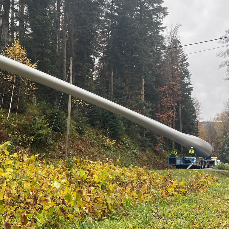 Rotorblätter für den Windpark Langenbrand werden in den Schwarzwald transportiert (Foto: SWR)