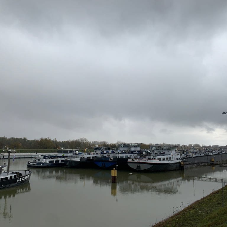 Rhein-Hochwasser verursacht Schleusenstau in Iffezheim