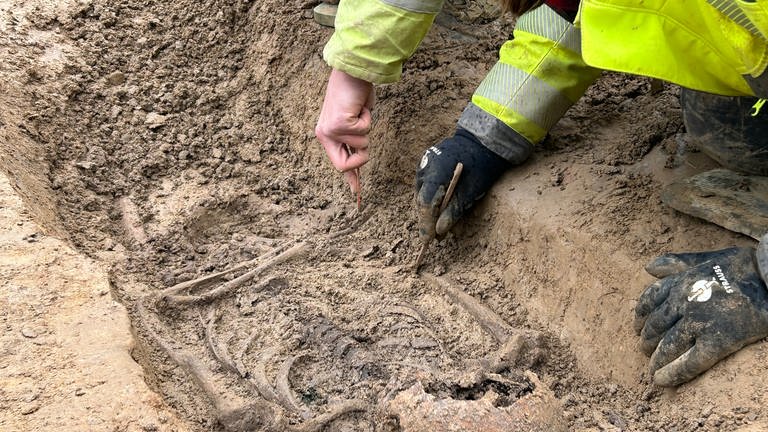 Bei Bauarbeiten gefunden: In Karlsruhe Durlach wurden 22 Skelette auf einem unbekannten Friefhof entdeckt. Archäologen graben ein Skelett aus. (Foto: SWR)