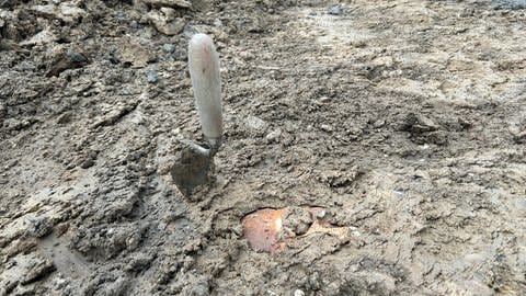 Bei Bauarbeiten gefunden: In Karlsruhe Durlach wurden 22 Skelette auf einem unbekannten Friefhof entdeckt. Ein Schädel steckt im matschigen Boden (Foto: SWR)