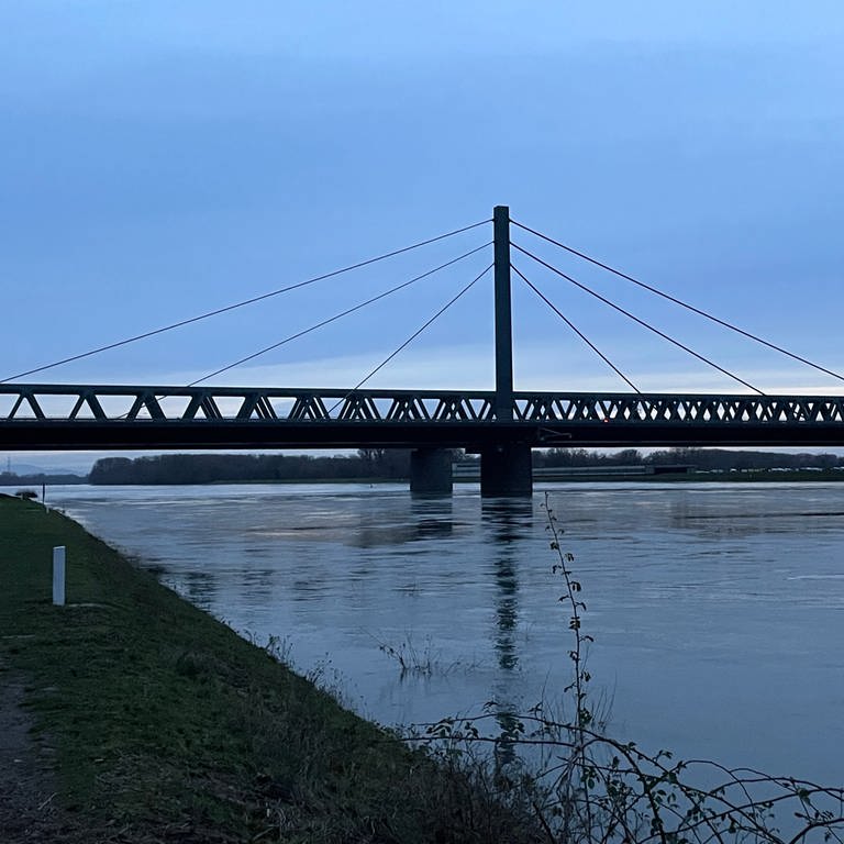 Rheinbrücke bei Maxau: Der Rhein bei Karlsruhe hat Hochwasser