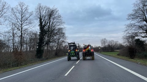 Nur noch vereinzelt fahren auf der B500 bei Iffezheim Traktoren.  (Foto: SWR)