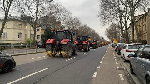 Bauern protestieren mit ihren Traktoren auf der Kriegsstraße in Karlsruhe. (Foto: SWR)