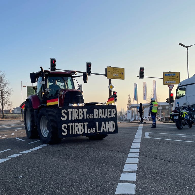 Bauernprotest von Bretten nach Sinsheim (Foto: SWR)