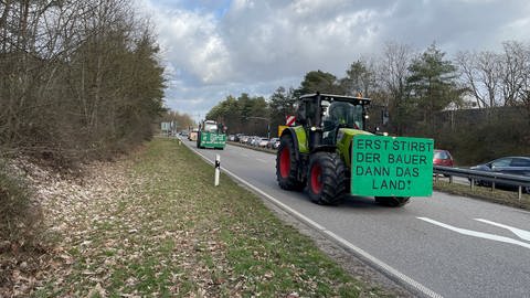 Landwirte aus dem Kreis Karlsruhe setzen ihre Proteste am Donnerstag fort. Mit ihrer Traktoren fuhren sie Richtung Karlsruhe zu einer Kungebung auf den Marktplatz. (Foto: SWR)