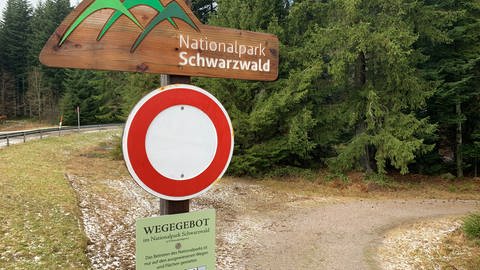Ein Holzschild im Wald auf dem "Nationalpark Schwarzwald" steht, darunter das Verkehrsschild "Durchfahrt verboten" und der Hinweis auf ein Wegegebot