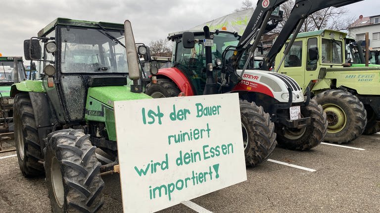 Demonstrierende Landwirte in Pforzheim (Foto: SWR, Peter Lauber)