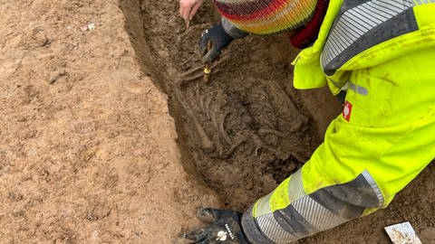 Bei Bauarbeiten gefunden: In Karlsruhe Durlach wurden Skelette auf einem unbekannten Friedhof entdeckt. (Foto: SWR)