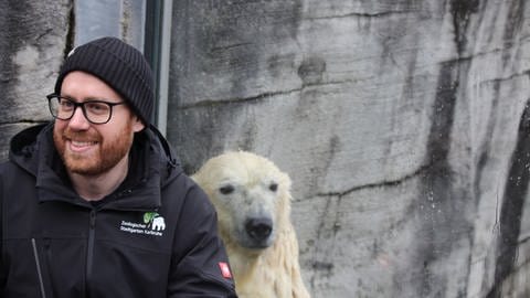 Durch eine Scheibe getrennt: Eisbärin Nuka sucht den Kontakt zu Marco Roller, dem Tierarzt im Karlsruher Zoo. (Foto: SWR)