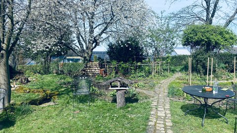 Der Garten von Ursula Stumpf mit Platz für viele Unkräuter in Karlsruhe-Hohenwettersbach (Foto: SWR, Foto: Johannes Stier )