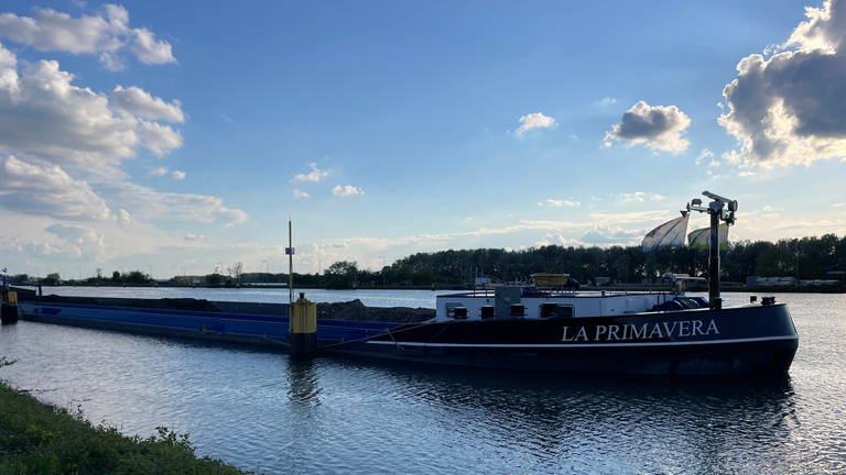 Schiff La Primavera bei Schleuse auf dem Rhein in Iffezheim beschlagnahmt (Foto: SWR)