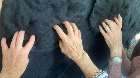 Beim Auftragen der Wolle für den Black Ball der Ornamenta in Pforzheim und im Nordschwarzwald ist Fingerspitzengefühl nötig.