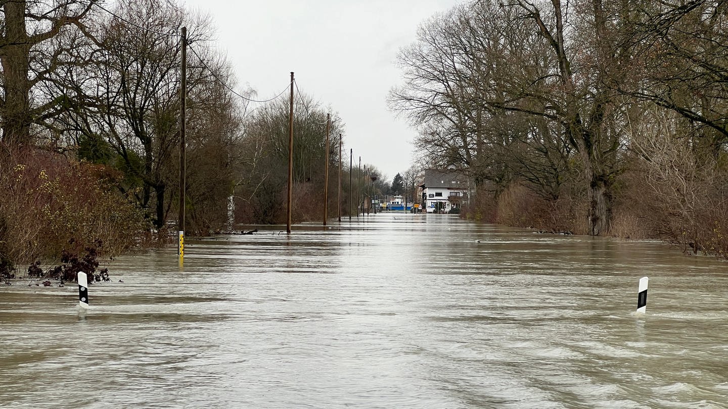 Eine Straße in Rastatt ist vom Hochwasser im Rhein betroffen. (Symbolbild) (Foto: SWR, Markus Bender)