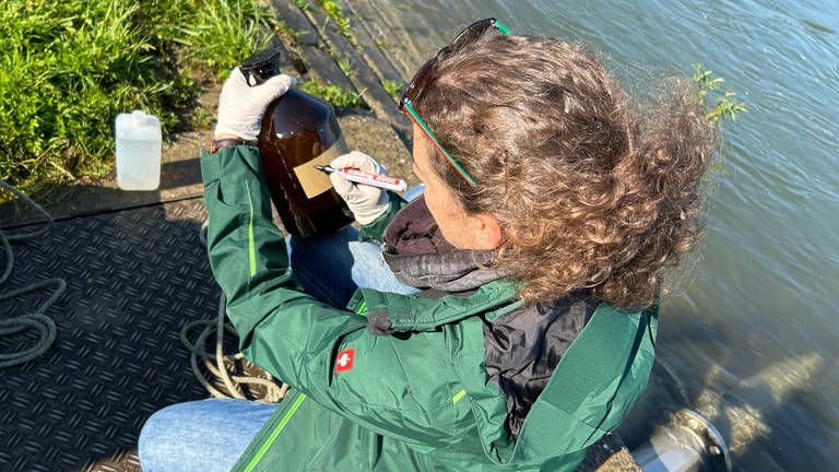 Julia Kirchner etikettiert die Flaschen mit den Wasserproben aus dem Rhein.