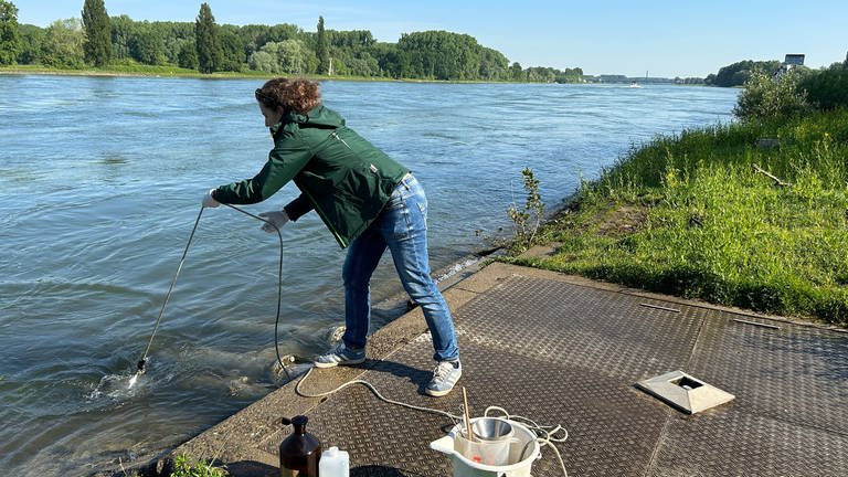 Julia Kirchner von der LUBW zieht mit einem Eimer Wasser aus dem Rhein bei Karlsruhe.