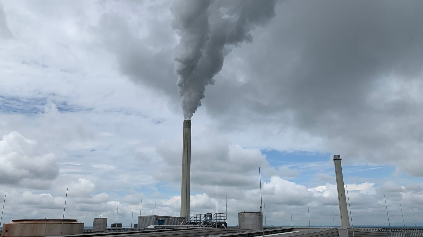 Das Kohlekraftwerk in Karlsruhe am Rhein von außen mit einem rauchenden Schornstein (Foto: SWR)