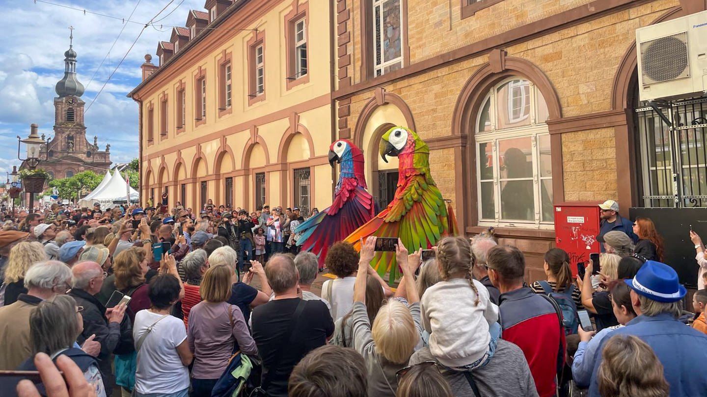 Beim Straßentheaterfestival tête-à-tête in Rastatt werden öffentliche Plätze zu Theater- und Tanzbühnen. (Foto: SWR, Greta Hirsch)
