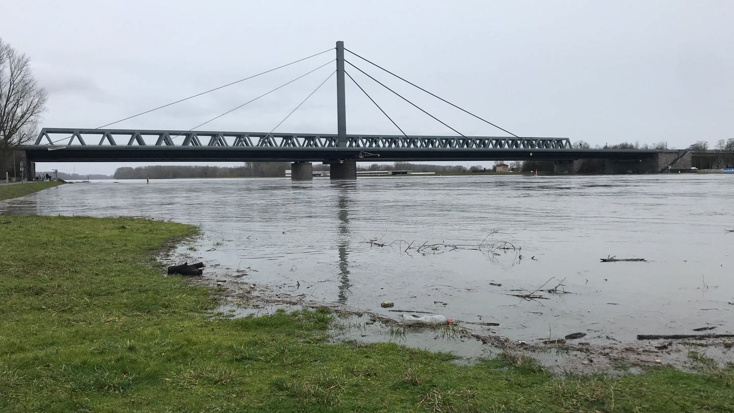 Hochwasser am Rhein bei Karlsruhe (Foto: SWR)