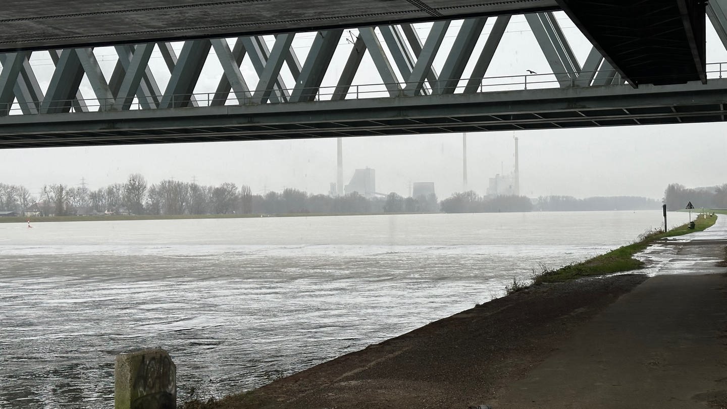Der Rhein bei Karlsruhe hat Hochwasser. Die Schifffahrt wurde am Samstag eingestellt. (Foto: SWR, Martin Greve)
