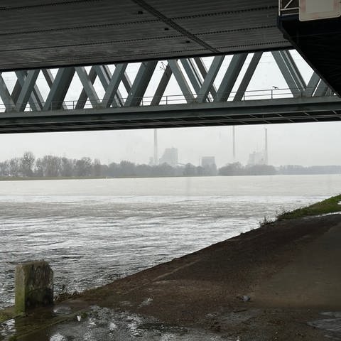 Der Rhein bei Karlsruhe hat Hochwasser. Die Schifffahrt wurde am Samstag eingestellt.