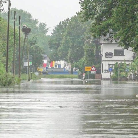 Die Zufahrtsstraße zur Rheinpromenade in Rastatt-Plittersdorf ist überflutet