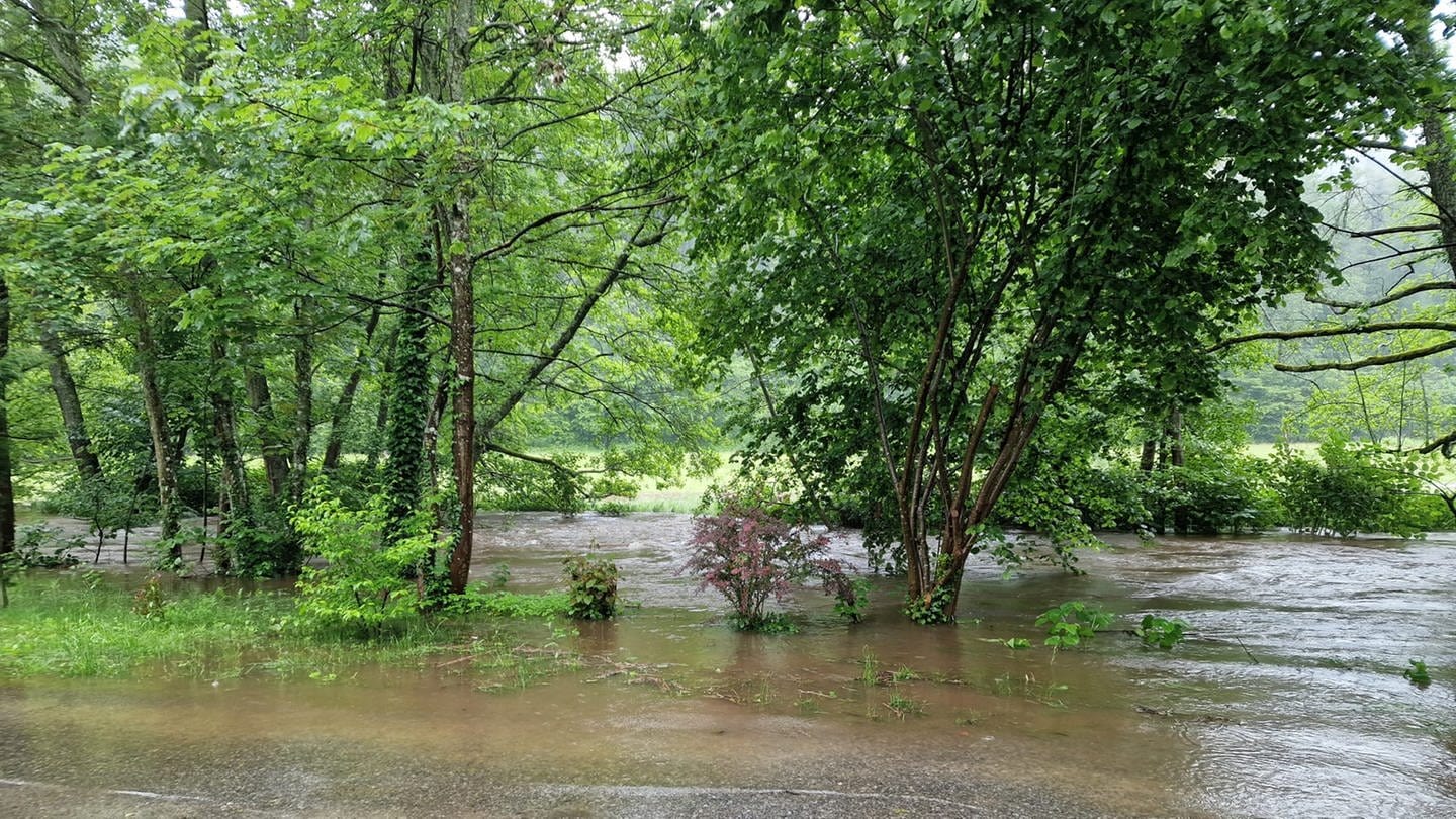 Das Hochwasser der Alb setzte den Campingplatz bei Waldbronn teilweise unter Wasser (Foto: privat)