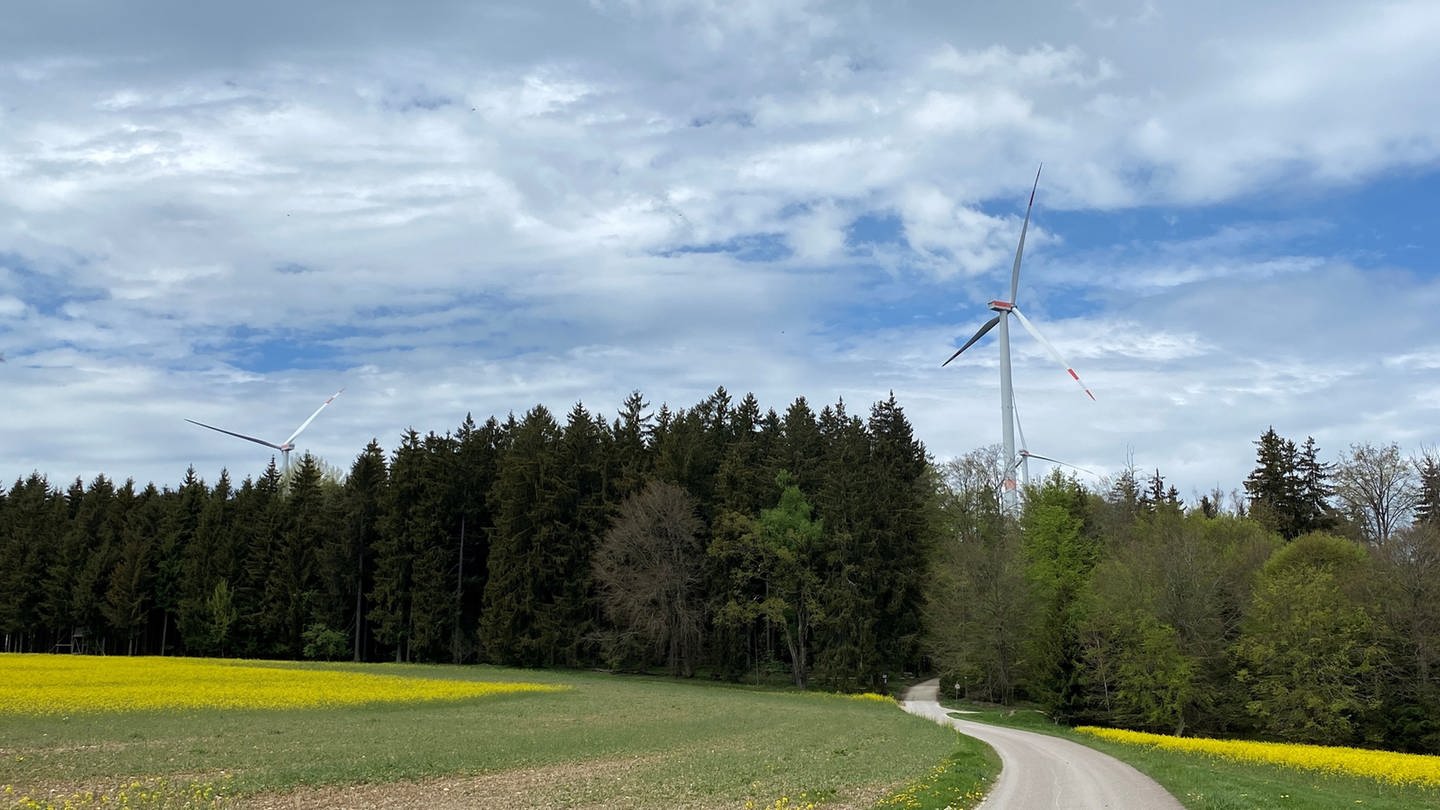 Windräder im Windpark Lauterstein ragen über die Baumwipfel (Foto: SWR, Philipp Pfäfflin)