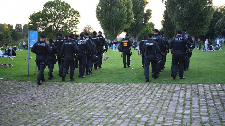Polizei auf der Neckarwiese in Heidelberg (Foto: dpa Bildfunk, picture alliance/dpa/Rene Priebe | Rene Priebe)