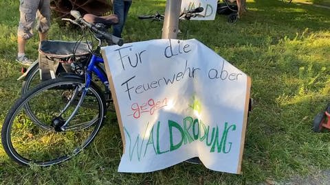 Demo gegen Waldrodung vor Gemeinderatssitzung (Foto: SWR)