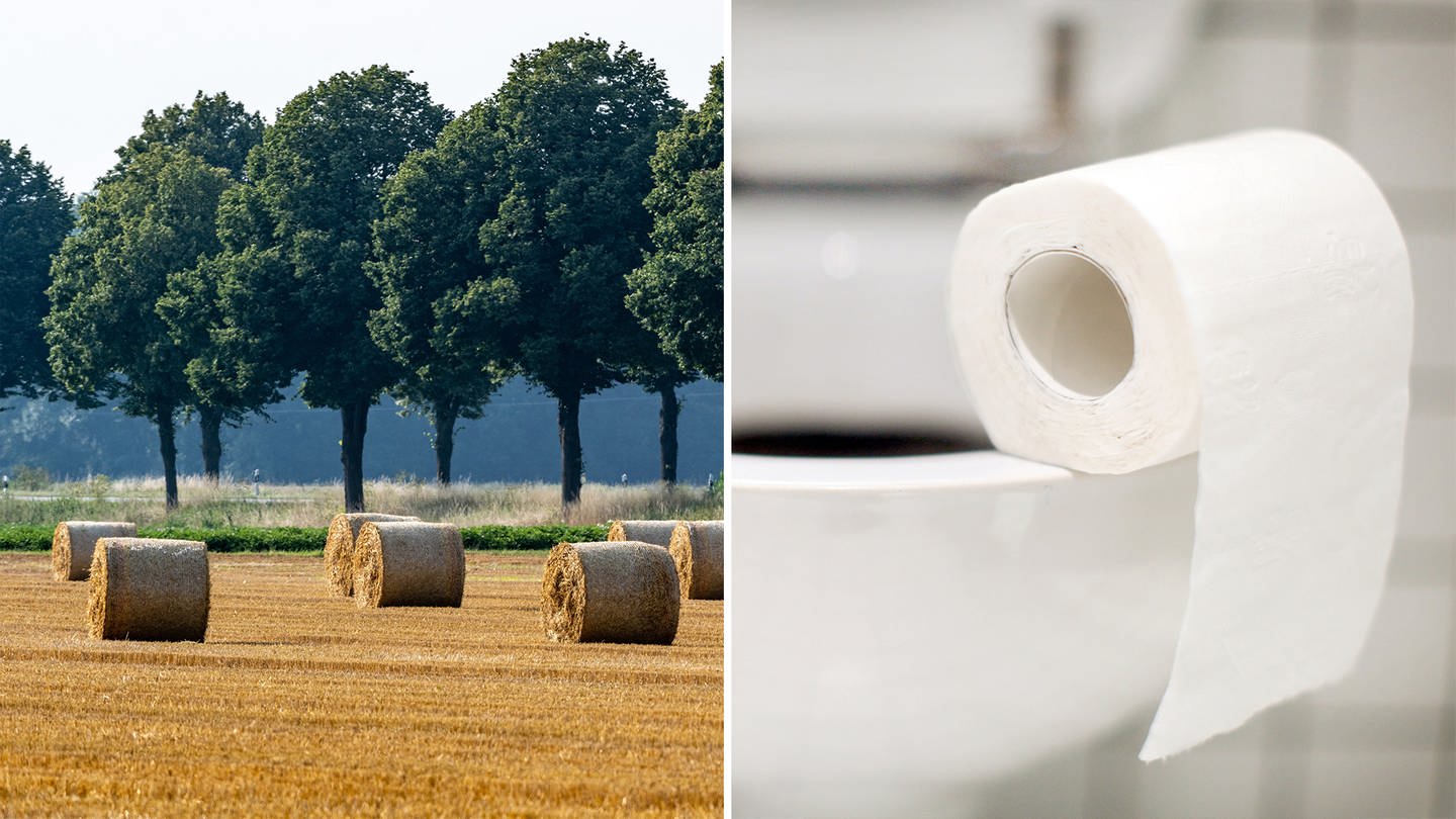 Collage: Links ein Bild von Strohballen auf einer Wiese und rechts eine Rolle Toilettenpapier auf dem Rand einer Toilettenschüssel