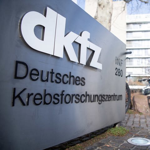 Das DKFZ in Heidelberg (Foto: dpa Bildfunk, picture alliance/Sebastian Gollnow/dpa)