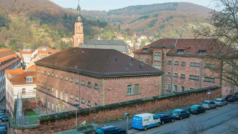 Der "Faule Pelz" in Heidelberg (Foto: dpa Bildfunk, picture alliance / dpa | Uwe Anspach)