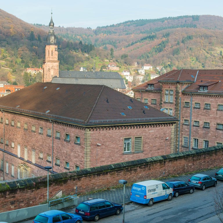 Der "Faule Pelz" in Heidelberg