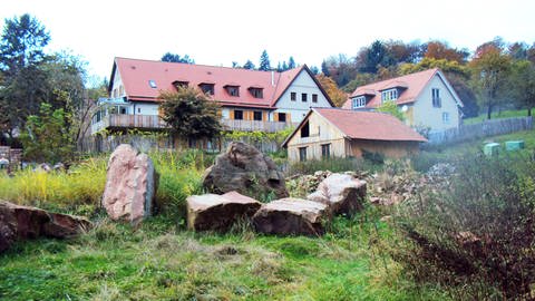 Der "Alte Kohlhof" in Heidelberg (Foto: SWR)