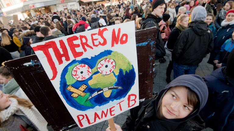 #FridaysForFuture (Foto: dpa Bildfunk, Julian Stratenschulte)