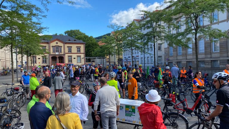 Der Radschnellweg Heidelberg-Mannheim steckt noch in der Planungsphase, mit einer Raddemo wird jetzt versucht, Druck zu machen (Foto: SWR)