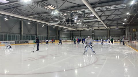 Wieder zurück auf dem Eis. Trainingsauftakt der Adler Mannheim. Spieler laufen sich warm auf der Eisfläche (Foto: SWR)