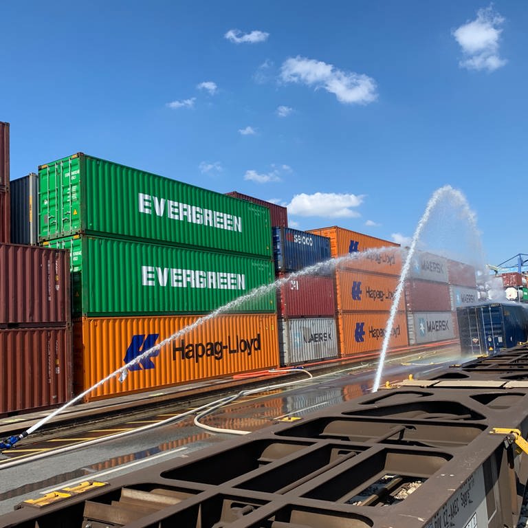 Container im Mannheimer Hafen (Foto: SWR)