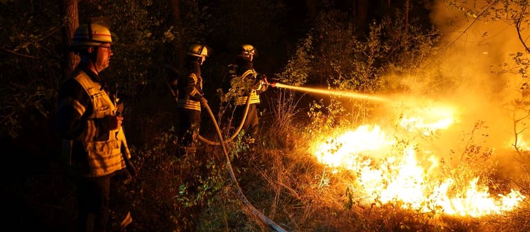 Feuerwehrleute löschen einen Waldbrand. (Foto: dpa Bildfunk, picture alliance/dpa/Feuerwehr Stadt Bleckede)
